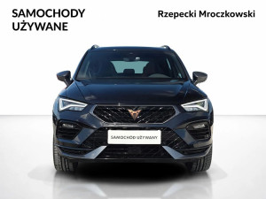 Miniaturka zdjęcia