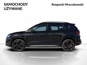 Miniaturka zdjęcia