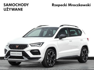 Miniaturka zdjęcia