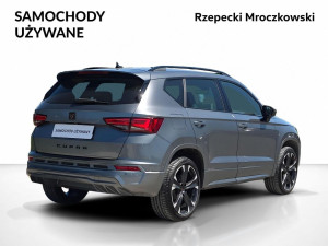 Miniaturka zdjęcia