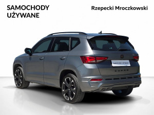 Miniaturka zdjęcia