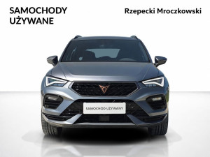 Miniaturka zdjęcia