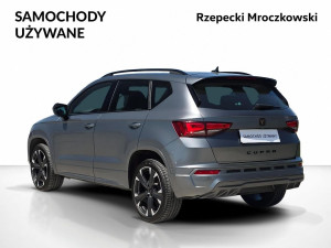 Miniaturka zdjęcia