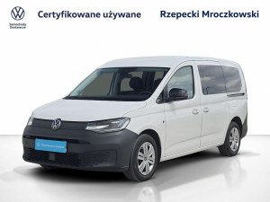 Miniaturka zdjęcia