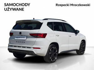 Miniaturka zdjęcia