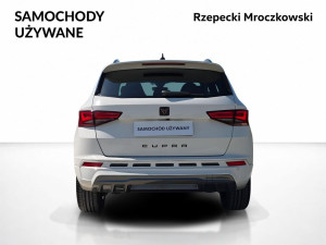 Miniaturka zdjęcia