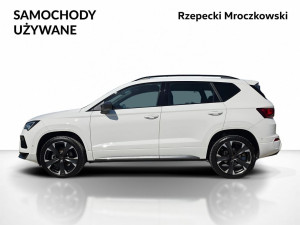 Miniaturka zdjęcia