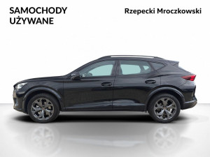 Miniaturka zdjęcia