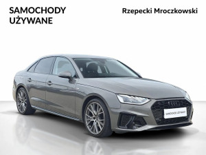 Miniaturka zdjęcia