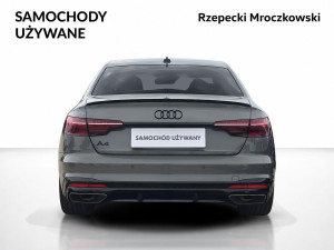 Miniaturka zdjęcia