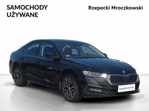 Miniaturka zdjęcia