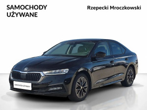 Miniaturka zdjęcia