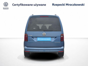 Miniaturka zdjęcia