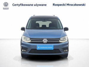 Miniaturka zdjęcia