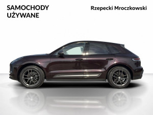 Miniaturka zdjęcia