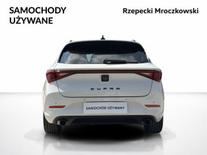 Miniaturka zdjęcia