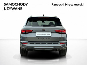 Miniaturka zdjęcia
