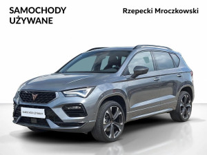 Miniaturka zdjęcia