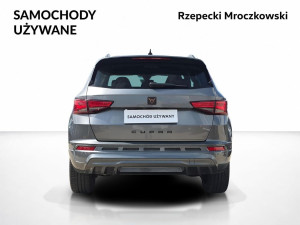 Miniaturka zdjęcia