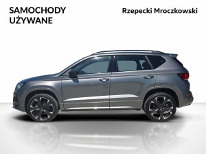 Miniaturka zdjęcia