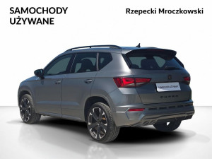 Miniaturka zdjęcia