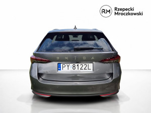 Miniaturka zdjęcia