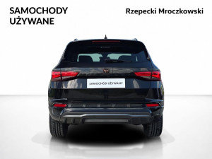 Miniaturka zdjęcia